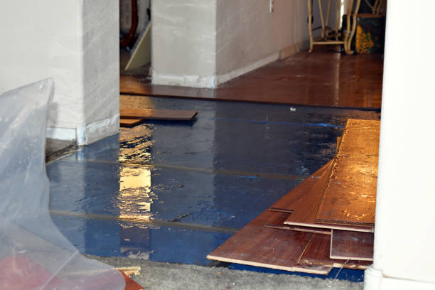 Professional Sewage Cleanup technician working in Wayne, ME